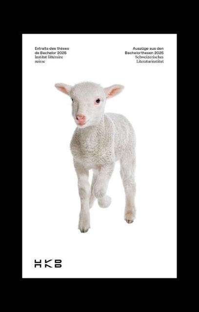 Coverbild Auszüge Bachelorthesen 2025