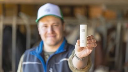 Dieser Bolus im Netzmagen dient als Sensor.