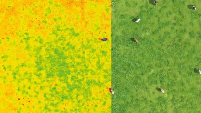 Aufgrund solcher Drohnen-Bilder lässt sich einschätzen, wie viel Weidegras verbleibt.