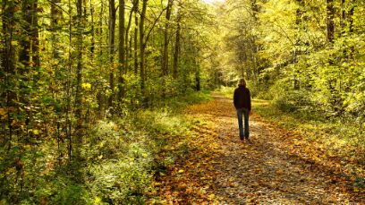 Frau spaziert im Wald