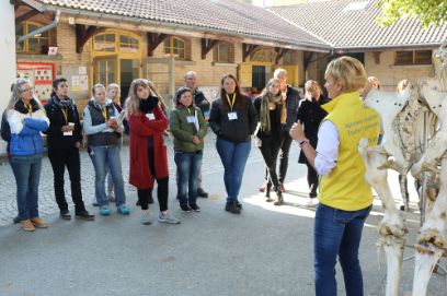 Equigarde Fachkurs besuchen