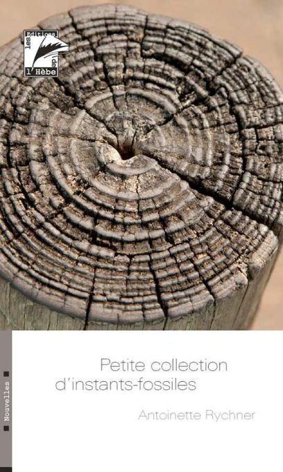 Petite collection d'instants-fossiles
