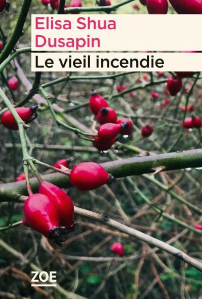 Le Vieil Incendie, Elisa Shua Dusapin, 2023