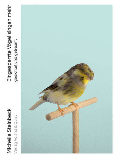 Eingesperrte Vögel singen mehr, Michelle Steinbeck, 2019