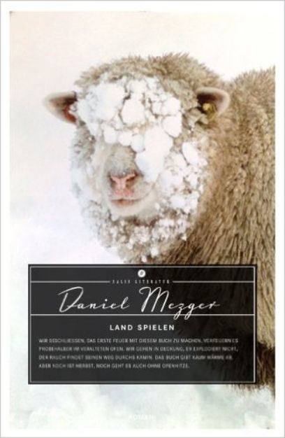 Land spielen, Daniel Mezger, 2013