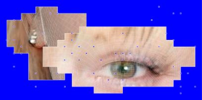 Blaues Bild der Diplomreihe mit Pixel-Style-Ausschnitte von Gesichtern: Ohr und Auge