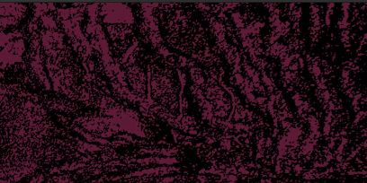 Ausschnitt aus einem Bild, das Brutgänge eines Borkenkäfers zeigt. Schwarz von dunklem Purpur überlagert.