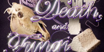 Vor einem Hintergrund in dunklem Violett ist ein Pferdeschädel und ein geschwungenes Betonelement abgebildet, darüber der Schriftzug in glänzender Farbe «Death and Fungi».