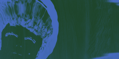 Ausschnitt Plakat CabaneB in den Farben Grün und Blau