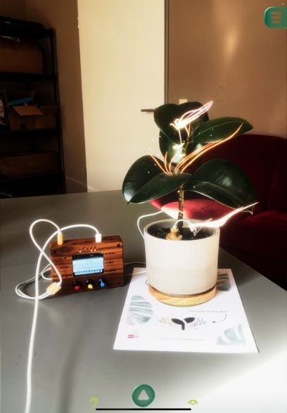 Pflanze in Topf auf einem Blatt Papier, daneben elektronisches Messgerät