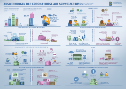 Infografik wichtigste Studienergebnisse Erstbefragung