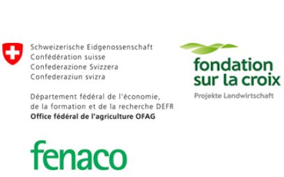 Financement