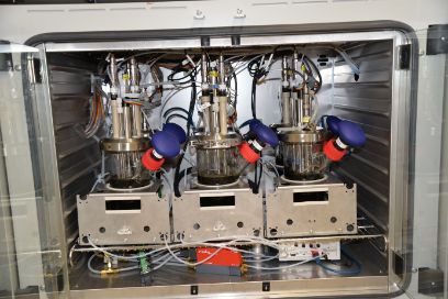 Mikrobielle Strategie zur Erhöhung der Biogasausbeute von Hofdünger 