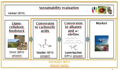 Sustainability evaluation