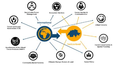 Our expertise