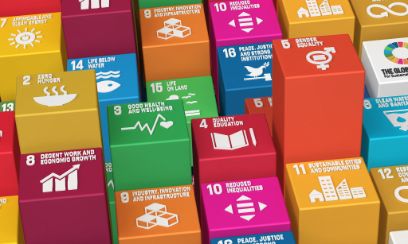 Sustainable Development Goals, SDGs