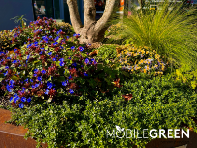 mobile green
