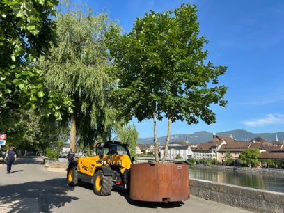 mobile green baum auf fahrzeug