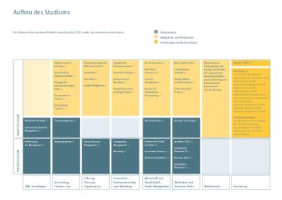 Darstellung Curriculum BSc Betriebsökonomie, Module im Grund- und im Hauptstudium