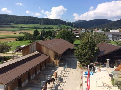 Equilumni besuchen