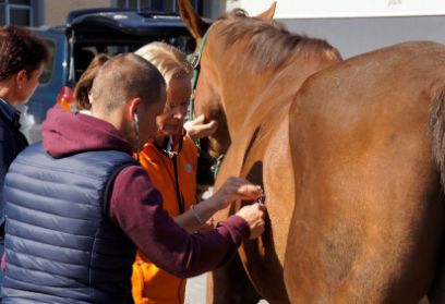 Equistart besuchen