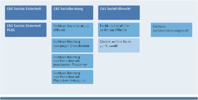 Grafischer Überblick über die CAS und Fachkurse, die im Angebot sind.