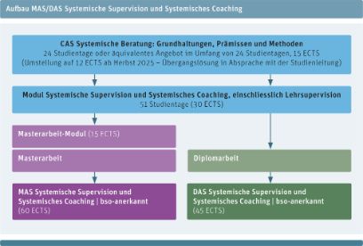 Grafik Aufbau MAS Systemische Supervision und Systemisches Coaching