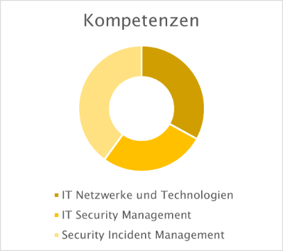 Kompetenzen DAS Cyber Security