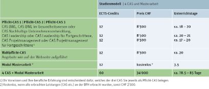 Grafik Studienmodell EMBA Projektmanagement