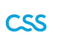 logo css