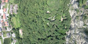 Der fortschreitende Klimawandel bedroht die Schutzwirkung der Schweizer Wälder