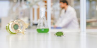 Rückgewinnung von Stickstoff und Phosphor
