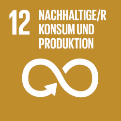 12: Verantwortungsvoller Konsum und Produktion