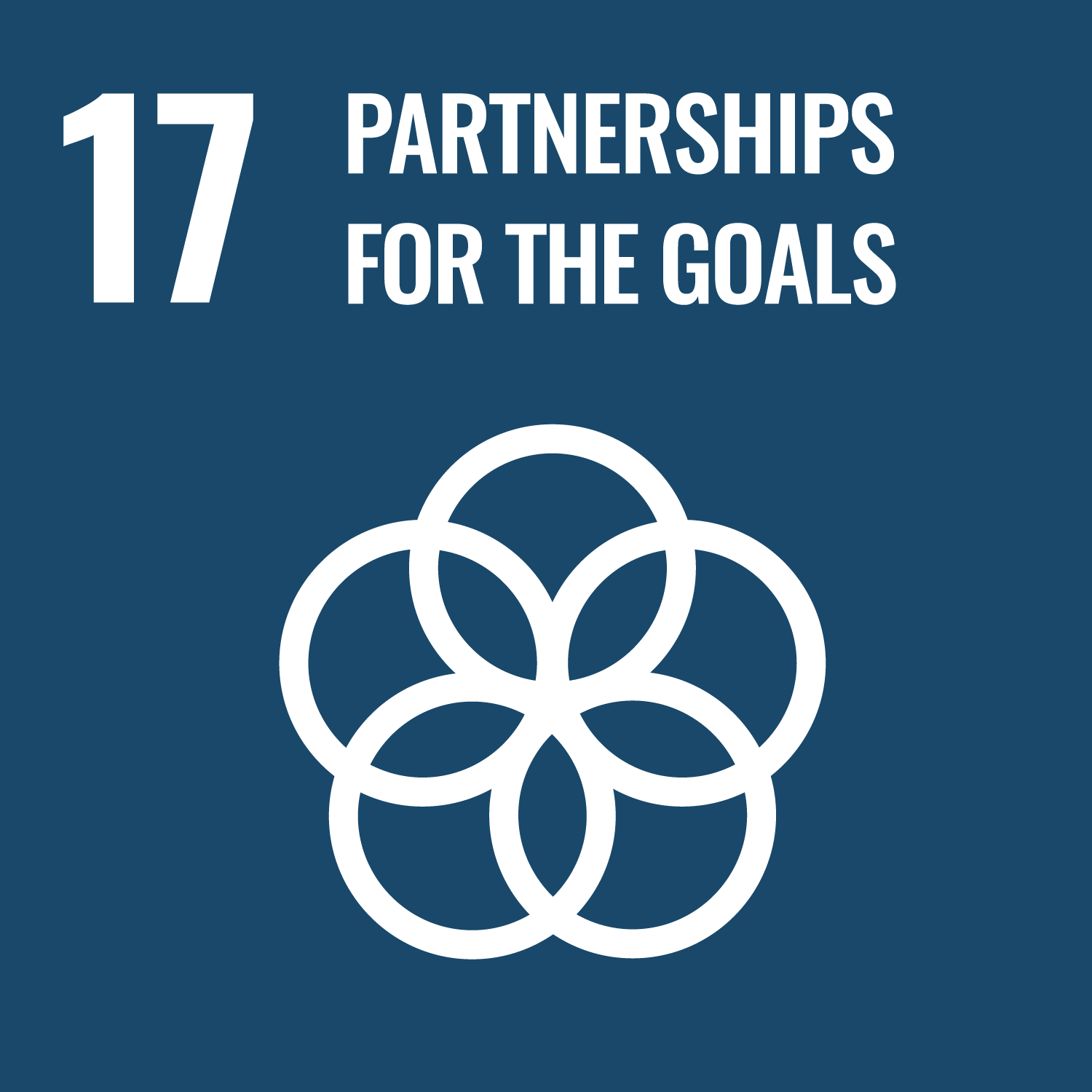 17: Partnerships for the goals